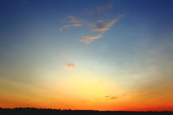 Hermosa Vista Atardecer Países Bajos — Foto de Stock