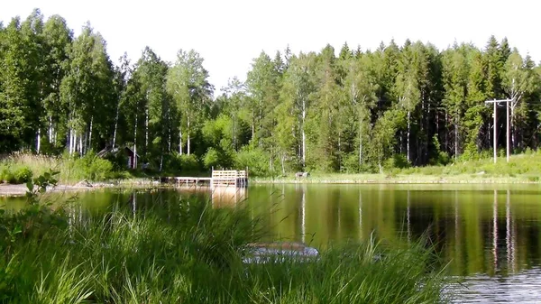 Meravigliosa Pesca Bellissimo Lago Svezia — Foto Stock