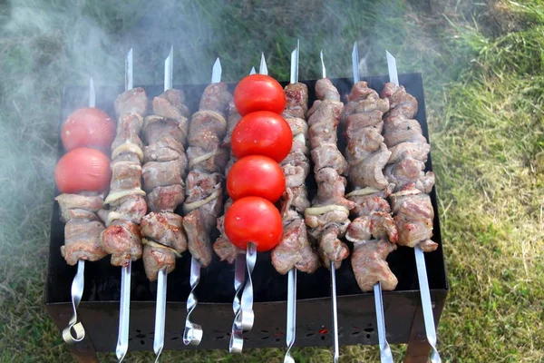 Barbecue gril. Švédsko — Stock fotografie