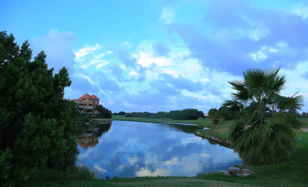 Zobrazit na zelené stromy, palmy a jezera na úžasné modré obloze na pozadí. Ostrov Aruba, — Stock fotografie