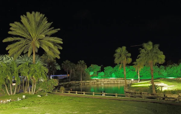 Increíble Vista Parque Nocturno Con Árboles Verdes Lago Isla Aruba — Foto de Stock