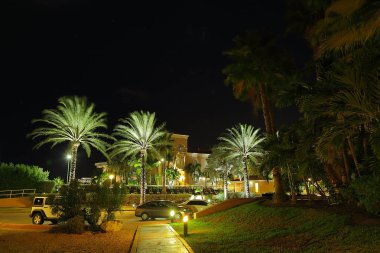 Yeşil palmiye ağaçları ve park etmiş arabaların harika gece park. Aruba Island. Güzel doğa arka planları.