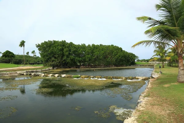 Schöne Landschaft Aruba Island Nature Grüne Bäume Und Fluss Mit — Stockfoto