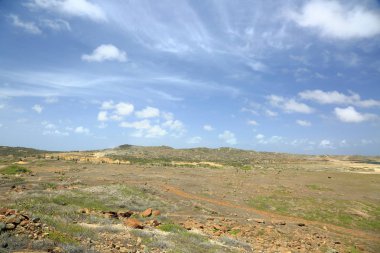 Aruba'nın doğal güzelliği çöl. Kuzey Sahil Aruba Island. Şaşırtıcı doğal peyzaj ve mavi gökyüzü. Eylül, 2017