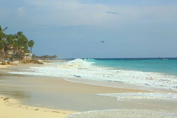 Increíble Belleza Playa Arena Blanca Isla Aruba Agua Mar Turquesa —  Fotos de Stock