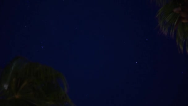 Niesamowite Piękno Widok Nocnym Niebie Podczas Grzmoty Błyskawice Wyspie Aruba — Wideo stockowe