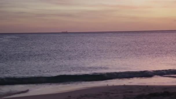 아루바 비치의 아름다운 광경입니다 카리브해 아름다운 자연의 — 비디오