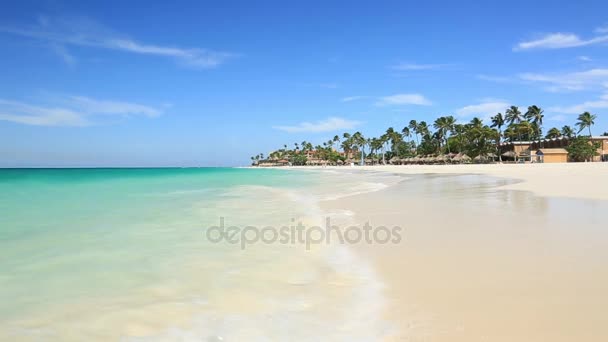 Beleza Incrível Praia Areia Branca Ilha Aruba Água Mar Azul — Vídeo de Stock