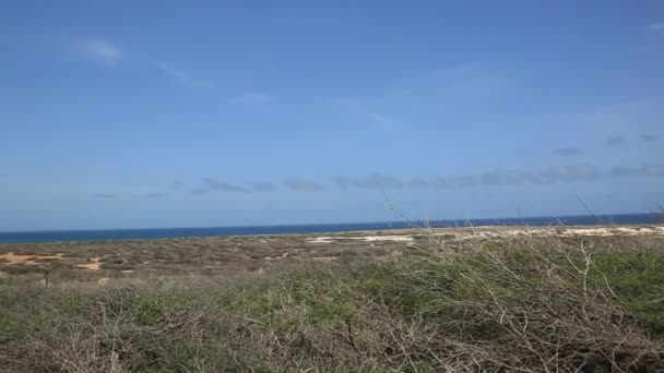 Off-road Aruba Beauté naturelle d'Aruba. Côte nord de l'île d'Aruba. Paysage naturel incroyable et ciel bleu .