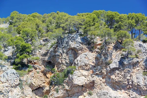 Spanien Palma Mallorca Atemberaubende Aussicht Auf Die Klippe Schöner Hintergrund — Stockfoto