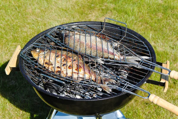 Zblízka Pohled Dvou Velkých Sladkovodních Ryb Grilu Samostatný Jídlo Pozadí — Stock fotografie