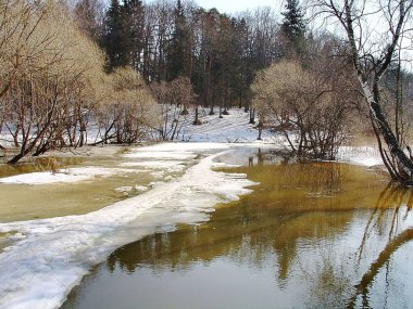 Güzel manzara doğa manzara. Bahar sel ormandaki. Rüşvet. Erimiş kar. Taşma. Bahar arka planlar.
