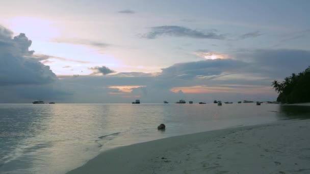 해변에서 일몰입니다 화려한 배경입니다 하늘과 배경에 인도양입니다 몰디브 — 비디오