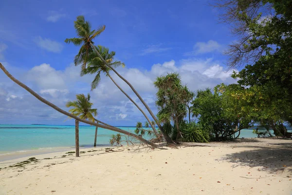 Vue Magnifique Sur Océan Indien Maldives Plage Sable Blanc Eau — Photo