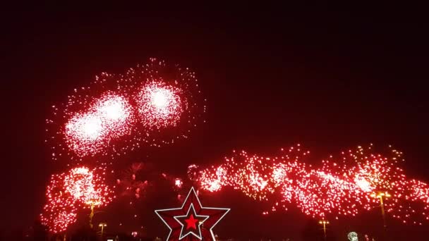 Prachtige Kleurrijke Vuurwerk Dag Van Overwinning Menigte Van Mensen Kijken — Stockvideo