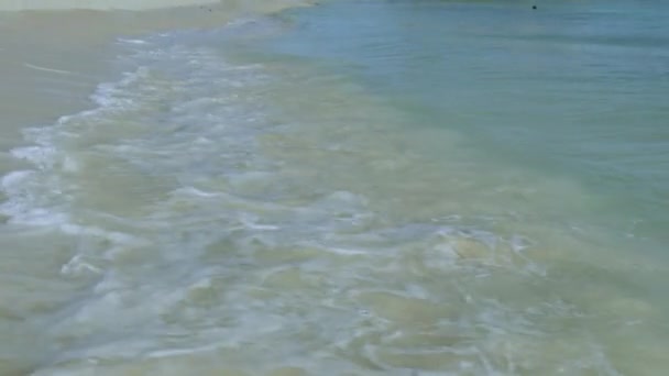 素晴らしい美しさアルバ島のイーグルビーチ カリブ海のビーチ 美しい自然背景 — ストック動画