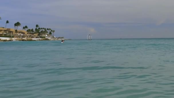 Fantastisk Skönhet Eagle Beach Aruba Island Karibiska Havet Stranden Vacker — Stockvideo