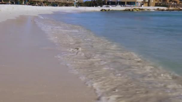 素晴らしい美しさアルバ島のイーグルビーチ カリブ海のビーチ 美しい自然背景 — ストック動画