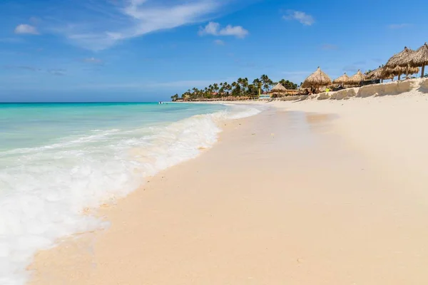 白色的沙滩 碧绿的海水 绿色的棕榈树和蓝天背景 阿鲁巴 惊人的背景 — 图库照片