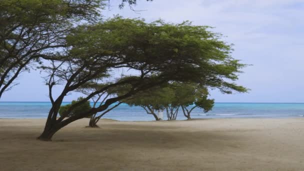 Natural Beauty Aruba Turquoise Sea Water Blue Sky Beautiful Nature — Stock Video