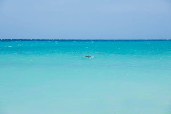 青い空を背景に大西洋のターコイズブルーの水の上を飛ぶかわいいペリカン鳥の美しい景色 — ストック写真