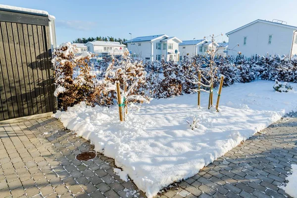 プライベートエリアの冬の風景の美しい景色 雪に覆われた木々や茂み 背景に美しい白いヴィラ — ストック写真