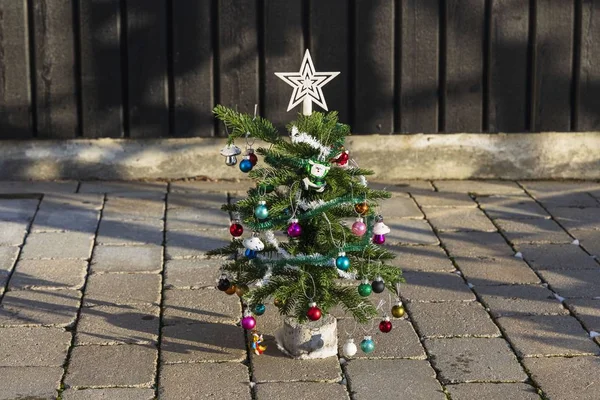 Vista Cerca Del Árbol Navidad Decorativo Con Juguetes Pequeños Concepto —  Fotos de Stock