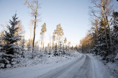 Kış doğasının muhteşem manzarası. Kar ormanlarında köy yolu. Güzel kış arka planı.