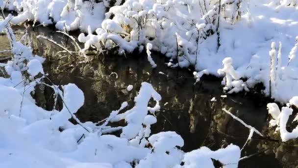 Prachtig Uitzicht Winter Natuur Landschap Stroom Het Winterbos Prachtig Natuurlandschap — Stockvideo