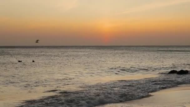 Splendida Vista Colorata Del Tramonto Aruba Bellissimo Paesaggio Naturale Costa — Video Stock