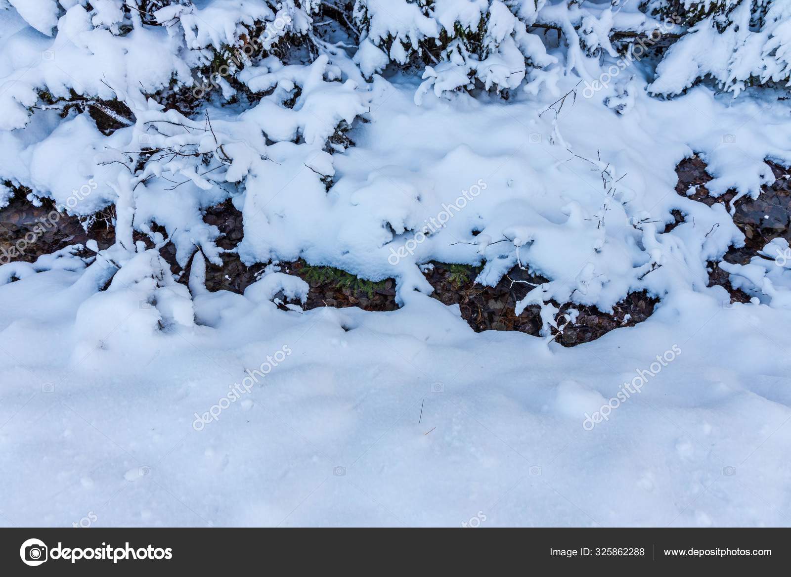 冬季雪景的美丽背景冬天森林里的溪流华丽的冬季背景 图库照片 C Mulevich 冬季雪景的美丽背景冬天森林里的溪流华丽的冬季背景 图库照片 C Mulevich