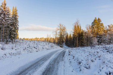 Kış doğasının muhteşem manzarası. Kar ormanlarında köy yolu. Güzel kış arka planı.