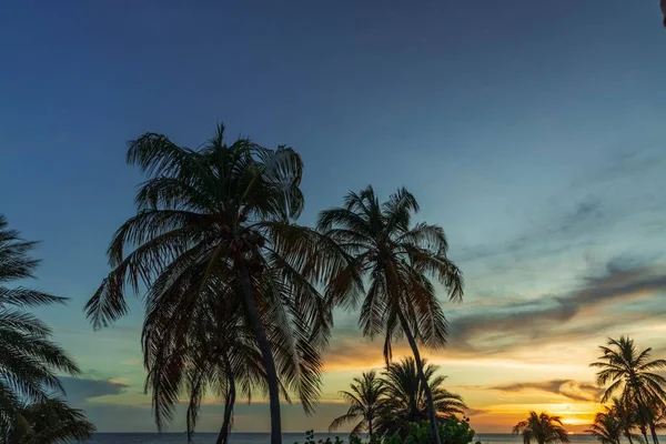 Gorgeous Colorful View Sunset Curacao Island Gorgeous View Green Palm — Stock Photo, Image