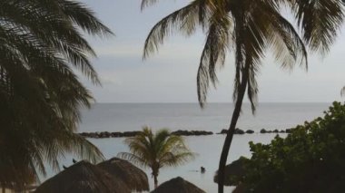 Muhteşem tropik manzara manzarası. Sahil şeridinde yeşil palmiye ağaçları ve bitkiler. İnanılmaz turkuaz su ve uçsuz bucaksız gökyüzü. Curacao Adası. Muhteşem doğa manzarası arka planı.