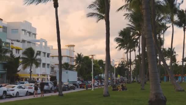 Bela Vista Paisagem Cidade Miami Belos Edifícios Hotel Longo Estrada — Vídeo de Stock