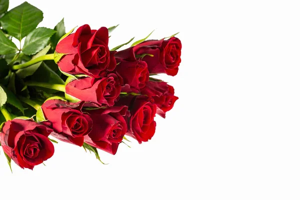 豪華な赤いバラが隔離されたビューを閉じます 美しい背景 赤いバラの背景 バレンタインデーの背景 郵便はがき — ストック写真