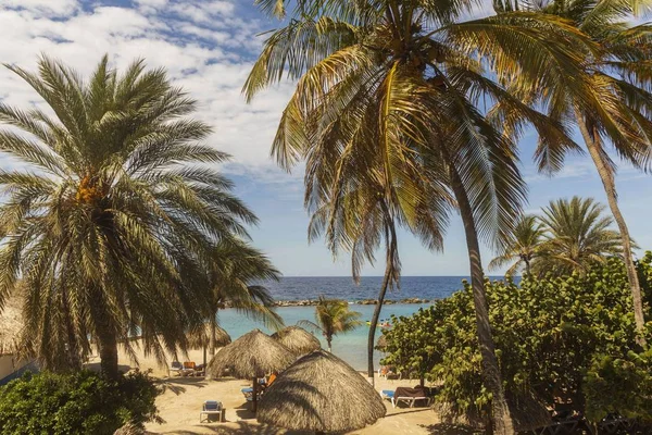 Beautiful View White Sand Curacao Beach Blue Sunbeds Sun Umbrellas — Stock Photo, Image