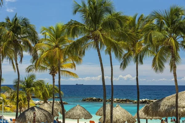 Beautiful View White Sand Curacao Beach Green Palm Trees Plants — 스톡 사진