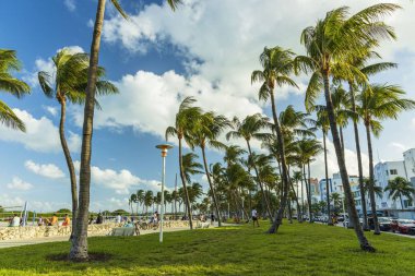 Miami South Beach 'in güzel manzarası. Binalar bir tarafta, palmiye ağaçları diğer tarafta. Mavi gökyüzü ve arka planda beyaz bulutlar. Usa. Miami mi? 09.23.2019.