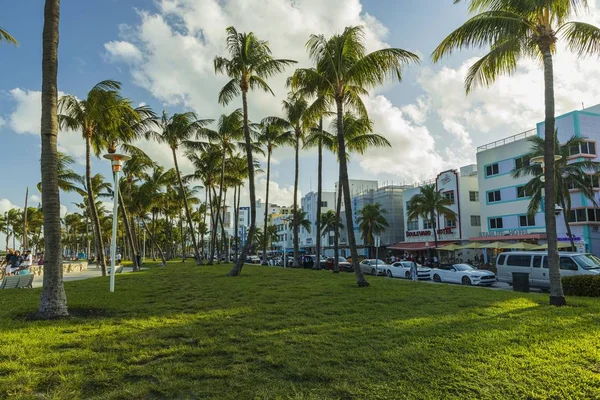 Beautiful Landscape View Miami South Beach Buildings One Side Palm — Stock Photo, Image