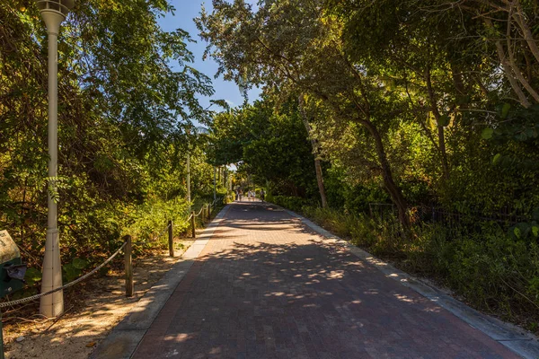 Hermosa Vista Panorámica Del Parque Verde Magníficos Fondos Naturaleza Miami — Foto de Stock