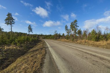 Beyaz bulutlar arka plan ile mavi gökyüzünde yeşil ağaçlar ile bahar orman üzerinde Amazing görünümü. Yeşil sarı ağaçlar ve yol. Muhteşem doğa arka planlar. 