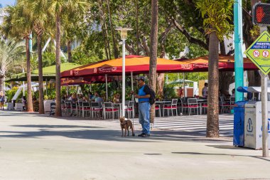 Yaya geçidinde rehber köpeği olan kör adam. Arka planda açık hava restoranındaki insanlar. Usa. Miami Güney Sahili. 09.24.2019.