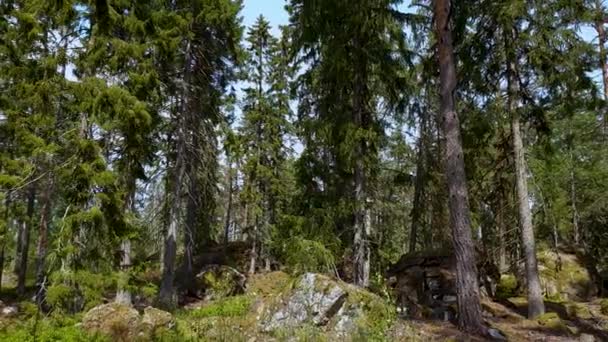 美しい自然景観の景色 夏の日に岩の多い風景の上に豪華な緑の森の木や植物 スウェーデンだ ヨーロッパ — ストック動画