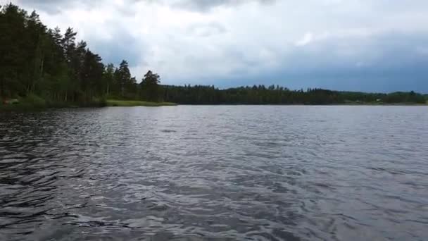 森林湖景美丽的日落 湖岸有绿色的树木和植物 天空覆盖着厚重的雷云 美丽的夏季背景 — 图库视频影像