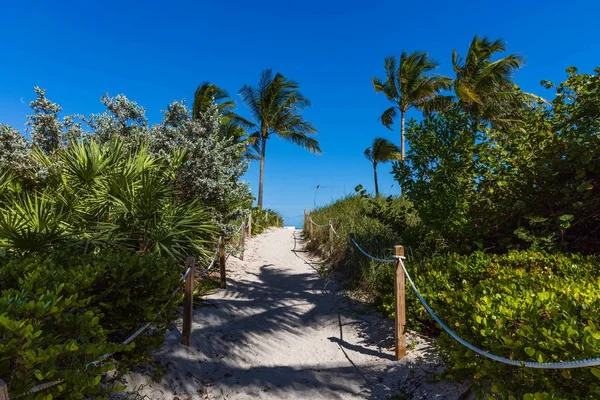 Yeşil ağaçlar ve beyaz bulutlarla kaplı mavi gökyüzü üzerinde kumsaldaki rayların muhteşem manzarası. Miami South Beach, Florida. Turizm konsepti.