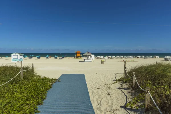 Wunderschöne Landschaft Blick Auf Gummierte Spur Sandstrand Auf Grünen Bäumen — Stockfoto