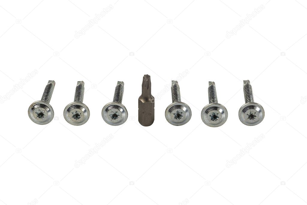 Close up view of screws and cross magnetic bit isolated  for metal. Industrial equipment concept.