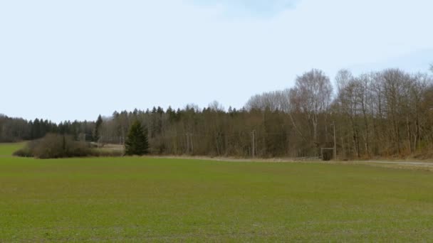 Nádherný Výhled Přírodu Zelená Tráva Pole Jarní Les Pozadí Oblohy — Stock video