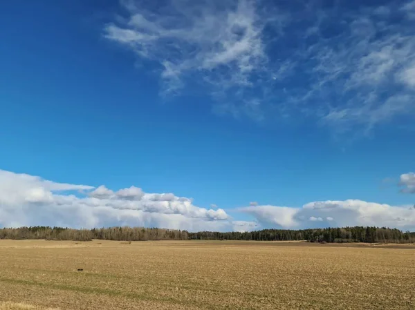 Bela Vista Paisagem Com Campos Árvores Florestais Céu Azul Com — Fotografia de Stock